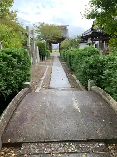 松山寺の山門・神門