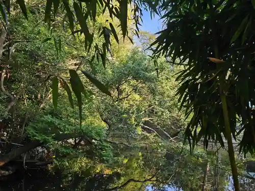 武蔵一宮氷川神社(埼玉県)
