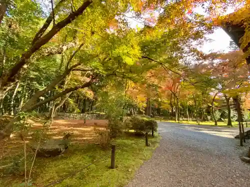 地蔵院の庭園