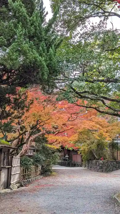 長岡天満宮(京都府)