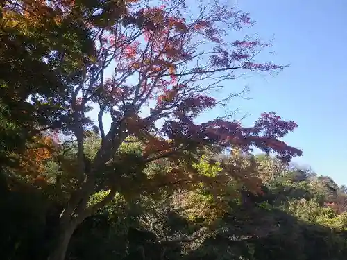 永福寺跡（永福寺址）の景色