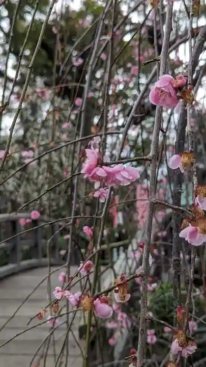 北野天満宮(京都府)