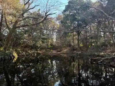 金蔵寺(千葉県)