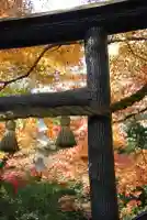 野宮神社(京都府)