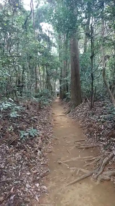 八幡神社の自然