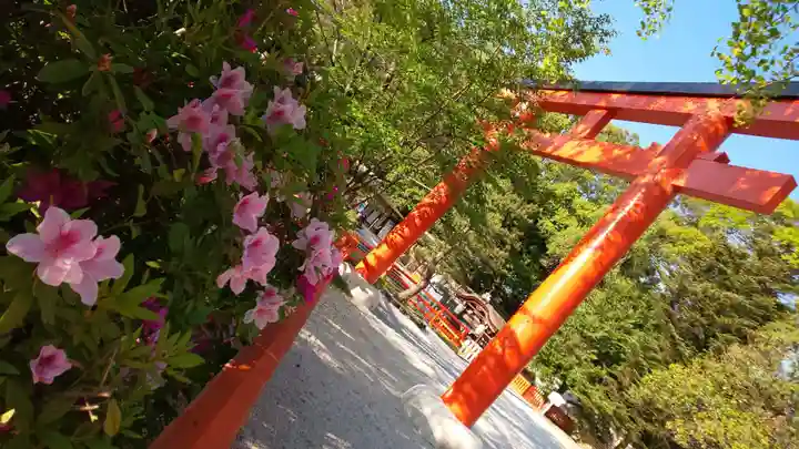 賀茂御祖神社(下鴨神社)(京都府)