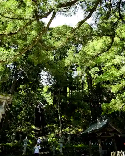 戸隠神社中社(長野県)