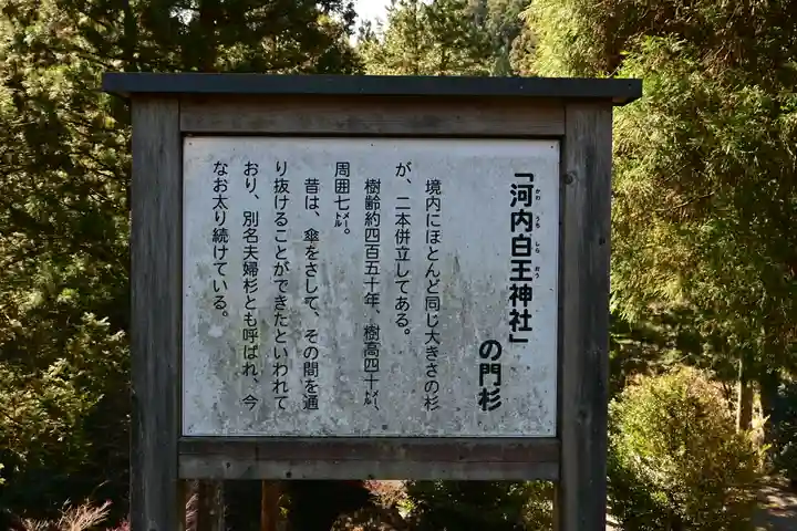 河内白王神社(高知県)