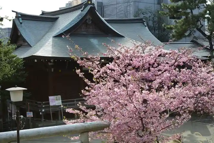 鳩森八幡神社の自然