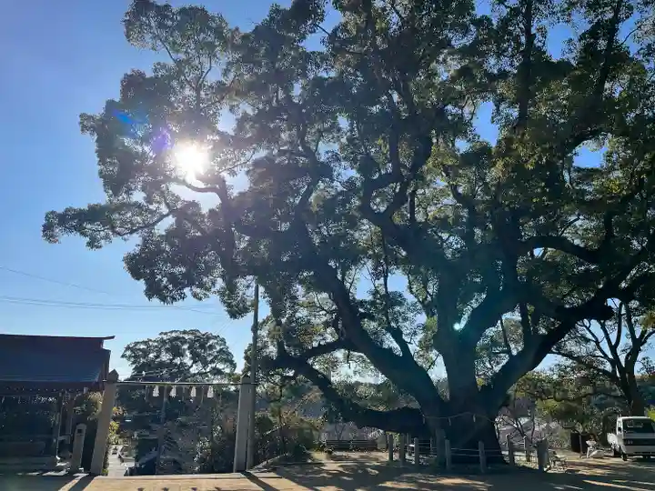 志筑神社(兵庫県)
