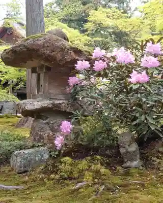 三千院門跡(京都府)