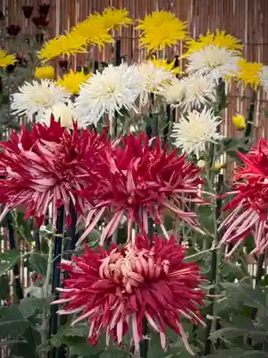 高幡不動尊　金剛寺(東京都)