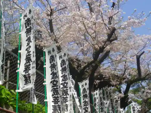 星井寺（虚空蔵堂)の自然