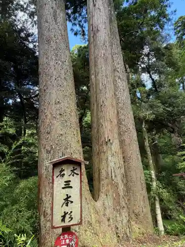 笠森寺(千葉県)