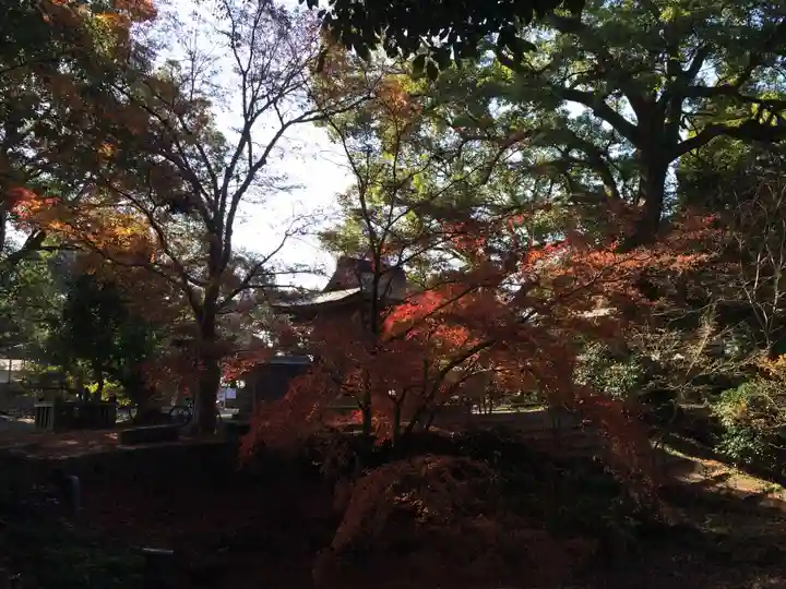 千栗八幡宮(佐賀県)