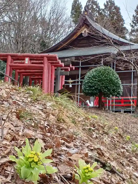 白狐山光星寺(山形県)