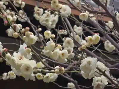 妙法寺(大阪府)
