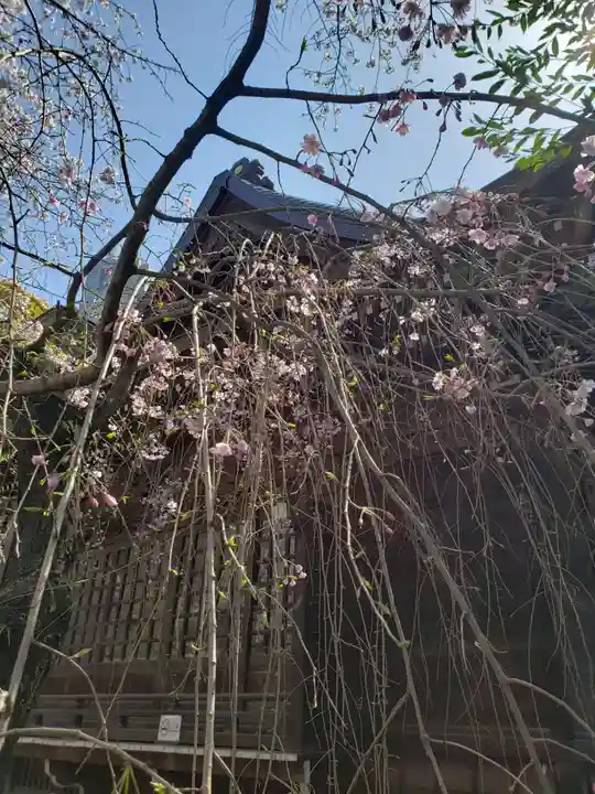 熊野神社の自然