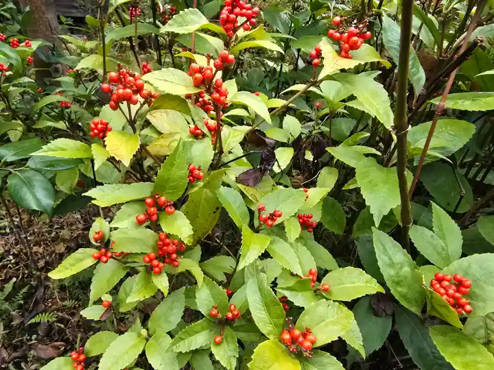 弘仁寺(奈良県)