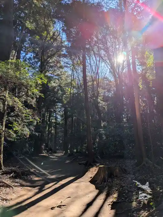 鹿島神宮(茨城県)