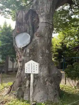 日隅神社(静岡県)