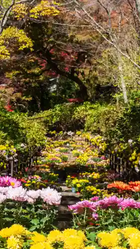 長谷寺(奈良県)