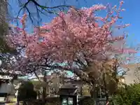 萬福寺(千葉県)