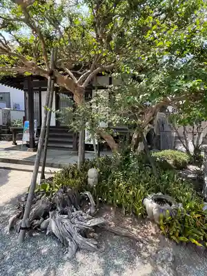 妙昌寺(神奈川県)