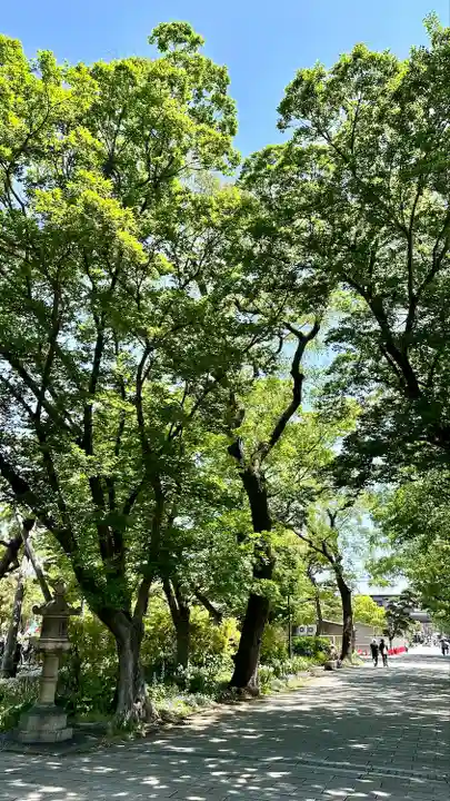 住吉大社(大阪府)