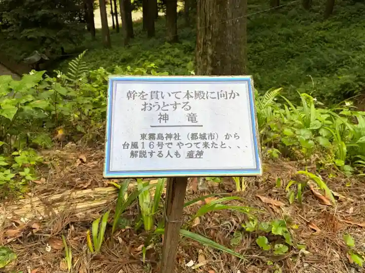 住吉神社の{uncategorized: "未分類", other: "その他", undefined: "問題あり", building: "その他建物", grave: "お墓", sacred_gate: "鳥居", guardian: "狛犬", statue: "像", buddha: "仏像", history: "歴史", nature: "自然", garden: "庭園", animal: "動物", pagoda: "塔", temizu: "手水舎", mountain_gate: "山門・神門", sanctuary: "本殿・本堂", subordinate: "末社・摂社", art: "芸術", scenery: "景色", jizo: "地蔵", ema: "絵馬", goshuin: "御朱印", omikuji: "おみくじ", items: "授与品その他", amulet: "お守り", goshuincho: "御朱印帳", eats: "食事", festival: "お祭り", votive_dance: "神楽", shichigosan: "七五三参", wedding: "結婚式", experience: "体験その他", initially: "初詣", around: "周辺", anti_infection: "感染症対策"}
