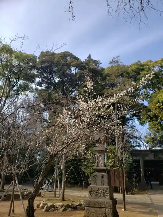 赤坂氷川神社(東京都)