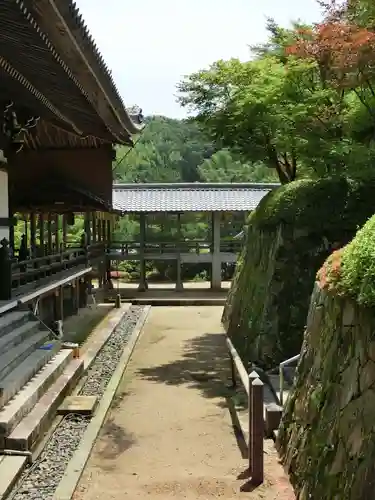 光明寺（粟生光明寺）(京都府)