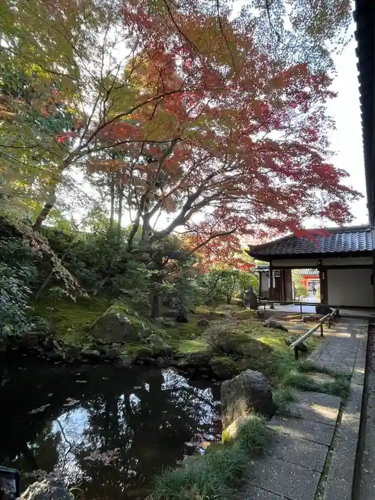 榮攝院(栄摂院)(京都府)