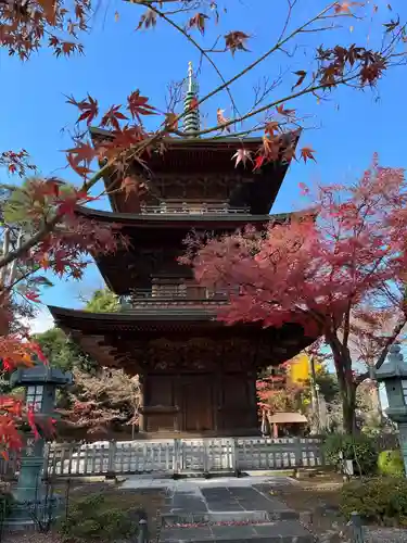 豪徳寺のその他建物