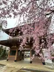 東勝寺宗吾霊堂の山門