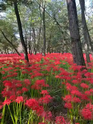 高麗神社(埼玉県)