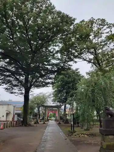 上町氷川神社の鳥居