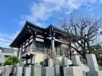 真英寺の{uncategorized: "未分類", other: "その他", undefined: "問題あり", building: "その他建物", grave: "お墓", sacred_gate: "鳥居", guardian: "狛犬", statue: "像", buddha: "仏像", history: "歴史", nature: "自然", garden: "庭園", animal: "動物", pagoda: "塔", temizu: "手水舎", mountain_gate: "山門・神門", sanctuary: "本殿・本堂", subordinate: "末社・摂社", art: "芸術", scenery: "景色", jizo: "地蔵", ema: "絵馬", goshuin: "御朱印", omikuji: "おみくじ", items: "授与品その他", amulet: "お守り", goshuincho: "御朱印帳", eats: "食事", festival: "お祭り", votive_dance: "神楽", shichigosan: "七五三参", wedding: "結婚式", experience: "体験その他", initially: "初詣", around: "周辺", anti_infection: "感染症対策"}