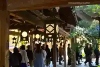 川越氷川神社(埼玉県)
