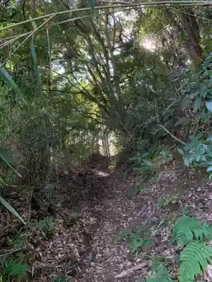 金毘羅神社の周辺