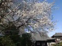 海蔵寺(東京都)