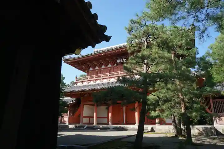 大徳寺の本殿・本堂