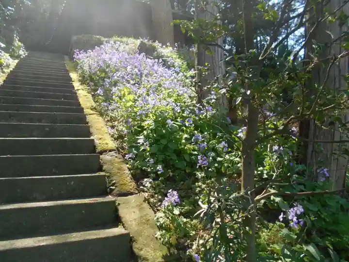子之神社(子ノ神社)の周辺