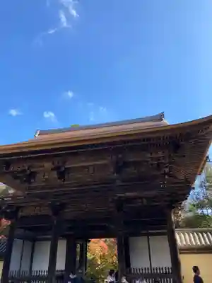 神護寺の山門・神門