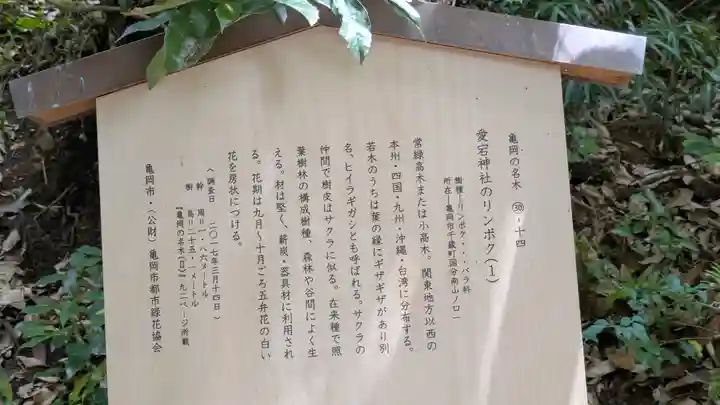 愛宕神社(阿多古神社)(京都府)