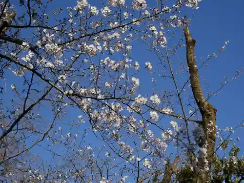 松陰神社の自然