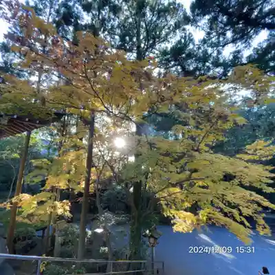 大神神社(奈良県)