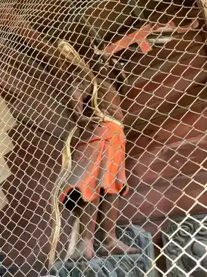 上野国一社八幡八幡宮(群馬県)