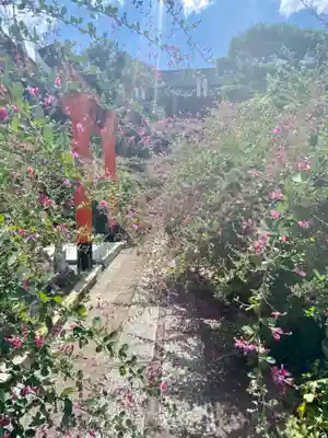 勝念寺(かましきさん)の自然