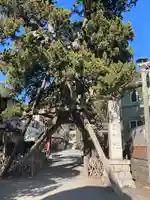 荏柄天神社(神奈川県)